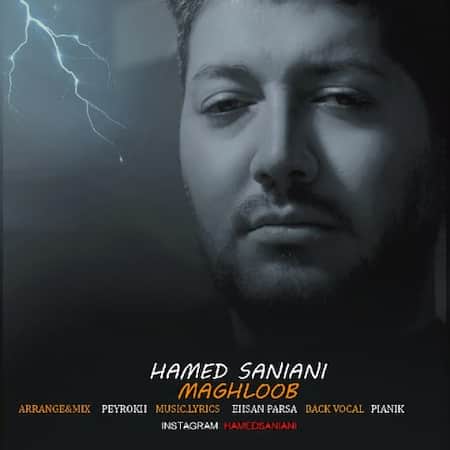 حامد سانیانی مغلوب
