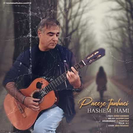 هاشم حامی پاییز تنهایی