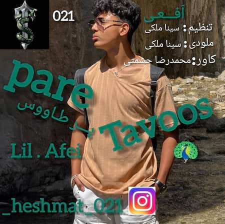 محمدرضا حشمتی پر طاووس محمدرضا حشمتی پر طاووس