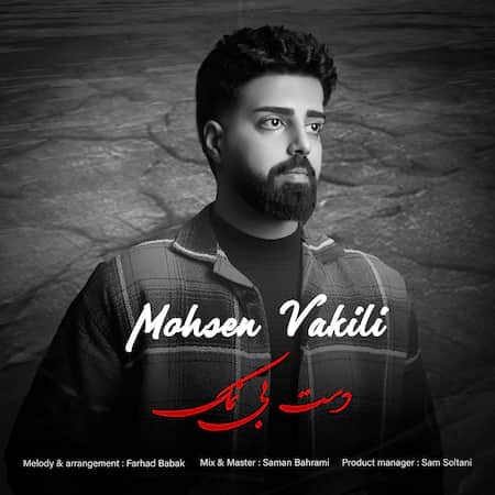 محسن وکیلی دست بی نمک محسن وکیلی دست بی نمک