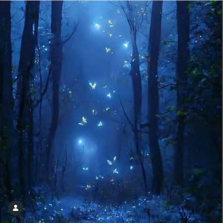 فرداد تولد فرداد تولد