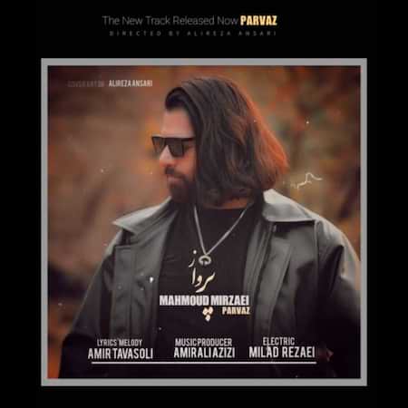 محمود میرزایی پرواز