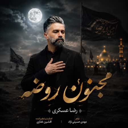 رضا عسکری مجنون روضه رضا عسکری مجنون روضه