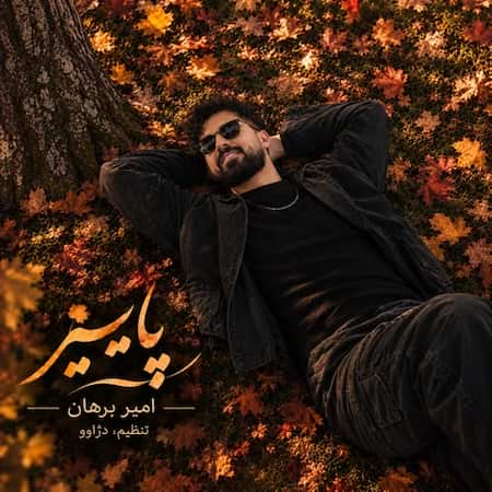 امیر برهان پاییز