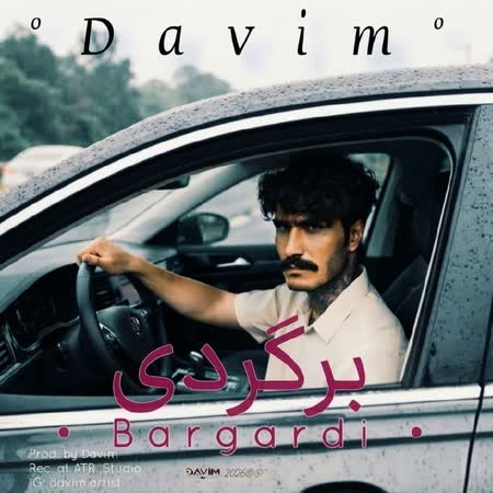 داویم برگردی